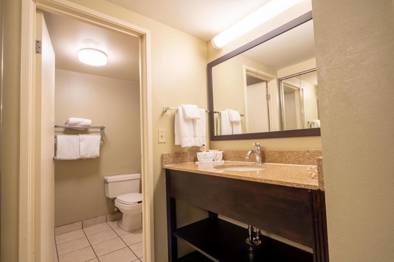 Holiday Inn Express Hotel & Suites Pittsburgh Airport By Ihg Robinson Township エクステリア 写真